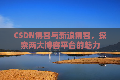CSDN博客与新浪博客，探索两大博客平台的魅力